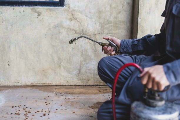 Pest Prevention Services in Raymond, MS